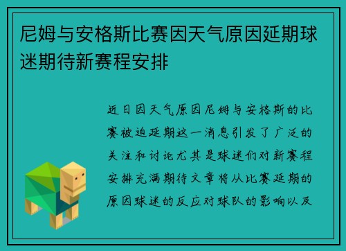 尼姆与安格斯比赛因天气原因延期球迷期待新赛程安排